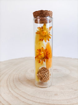 Kleine cilinder gevuld met droogbloemen