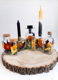 Droogbloemen in fles herfst collectie