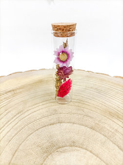 Droogbloemen in fles collectie COLD PINK