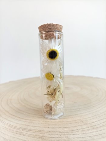 Kleine cilinder gevuld met witte droogbloemen