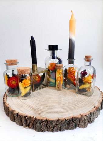 Droogbloemen in fles herfst collectie