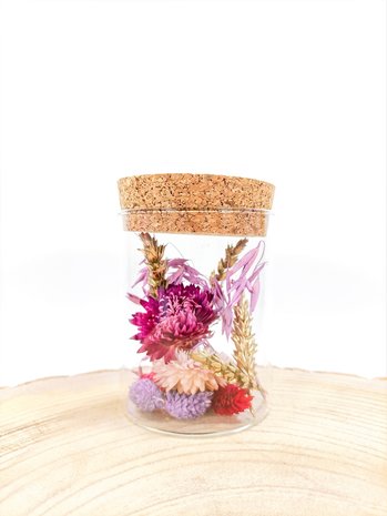 Droogbloemen in fles collectie COLD PINK
