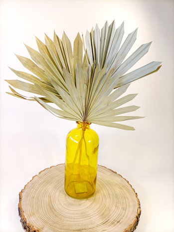 Palmblad Palm Sun