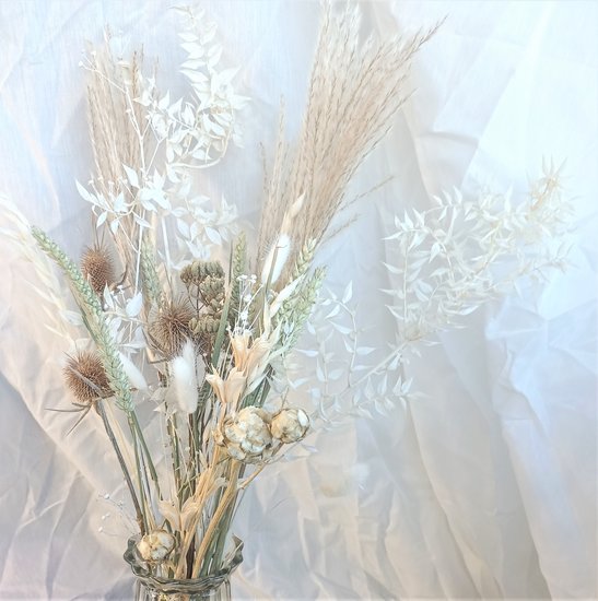 Boeket droogbloemen wit ruscus met pampas